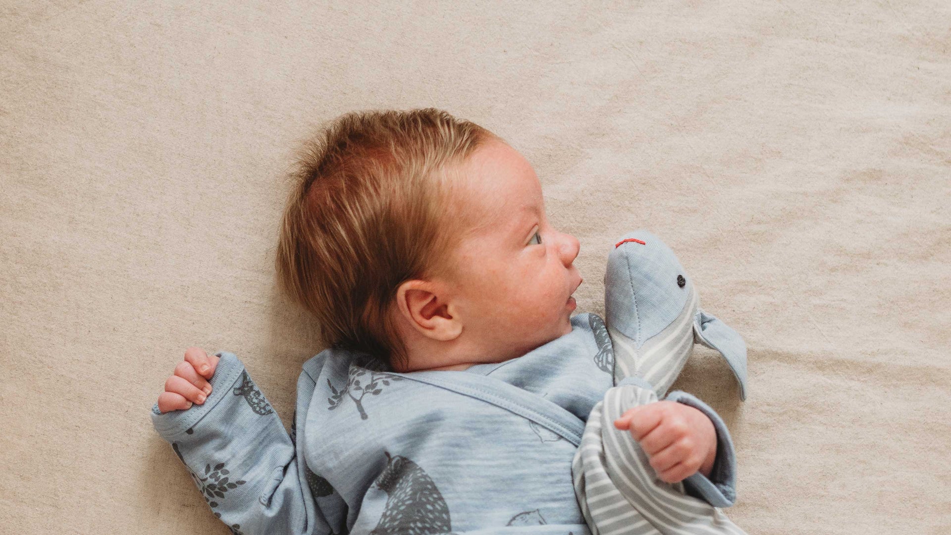 Kids Sleeping Bags AwardWinning Go Go Sleep Bag Merino Kids UK